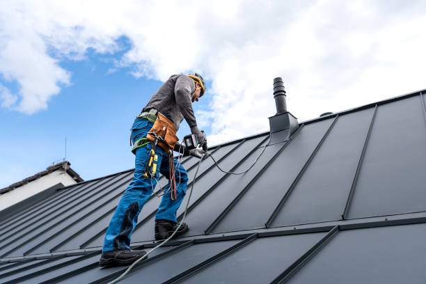 Best Sheet Metal Roofing  in Hansen, ID