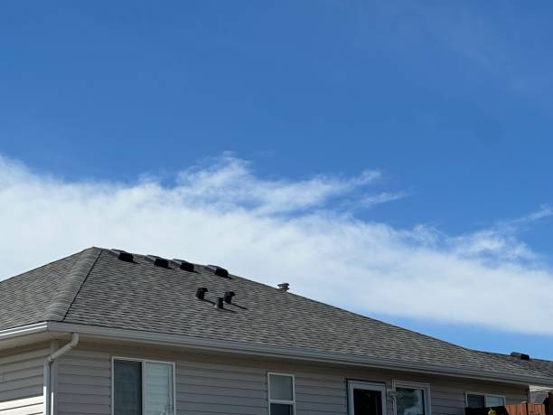 Best Steel Roofing  in Hansen, ID